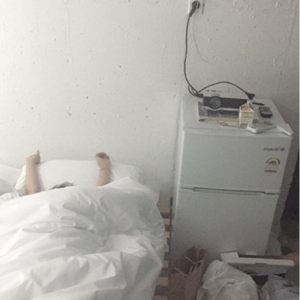 宁德牙刷厂家用小鲤营销导航
