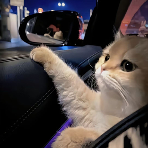 宁德牙刷厂家用小鲤营销导航
