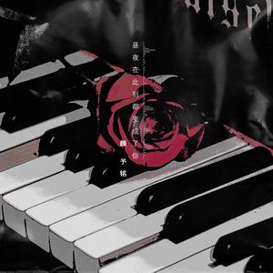 宁德牙刷厂家用小鲤营销导航
