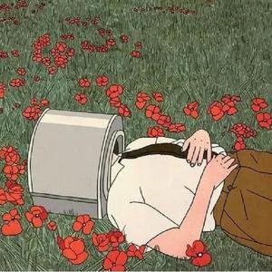 宁德牙刷厂家用小鲤营销导航
